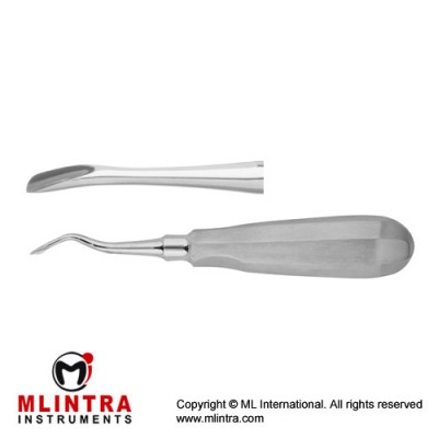 Luxator Root Elevator Curved Stainless Steel, Tip Size 5 mm Luxator Root Elevator Curved Stainless Steel, Tip Size 5 mm